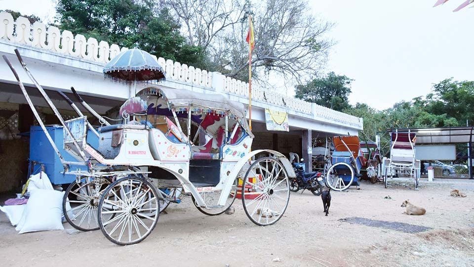 COVID-19 pandemic: Passing plight of Tongawallahs in Mysuru