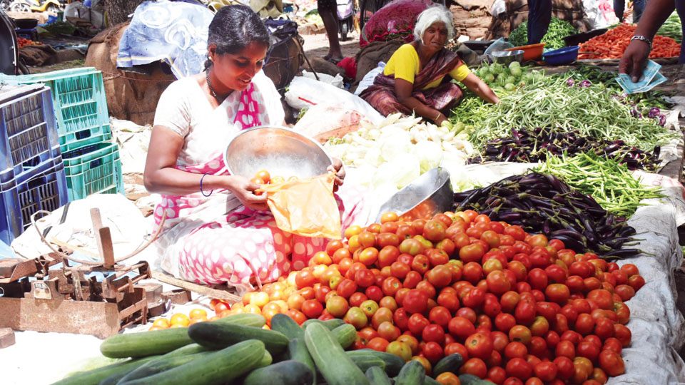 Of Onions and Tomatoes!