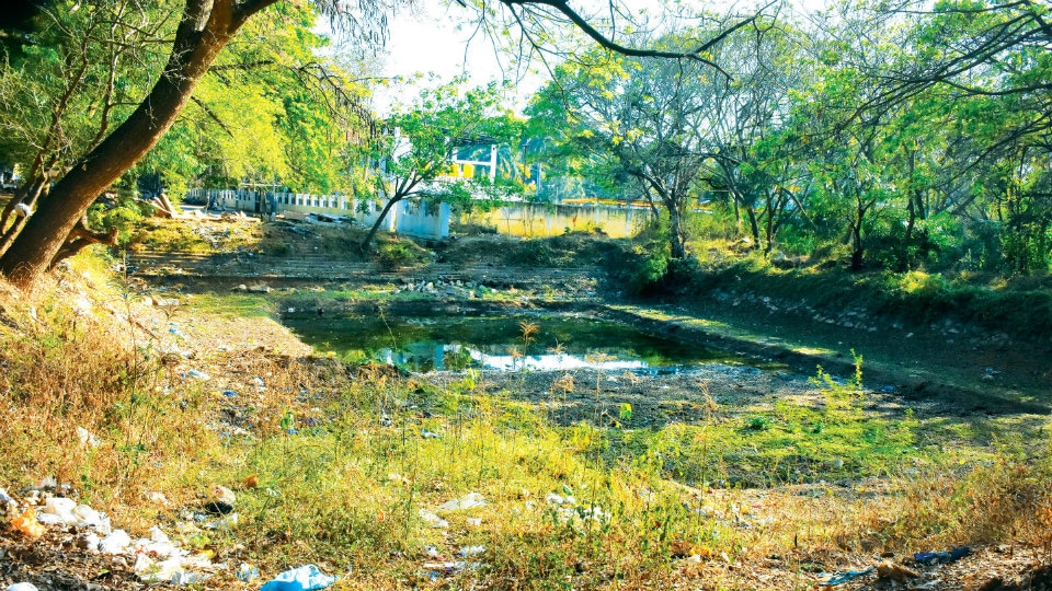 Kalyanis: Relics of Mysuru’s past in a state of neglect
