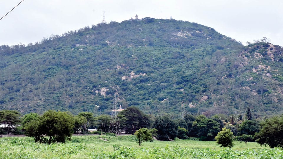 Chamundi Hill Ropeway Project |  Govt. to study pros and cons before implementation: Patil